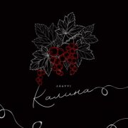 ASAVVI - Калина