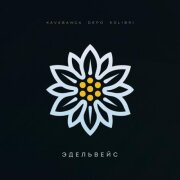kavabanga Depo kolibri - Эдельвейс