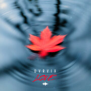 DVRVIX - Love